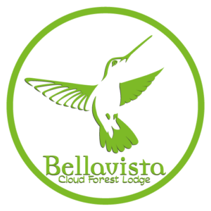 (c) Bellavistacloudforest.com